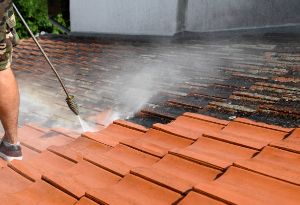 Best Roof Power Washing Services  in Independence, KY